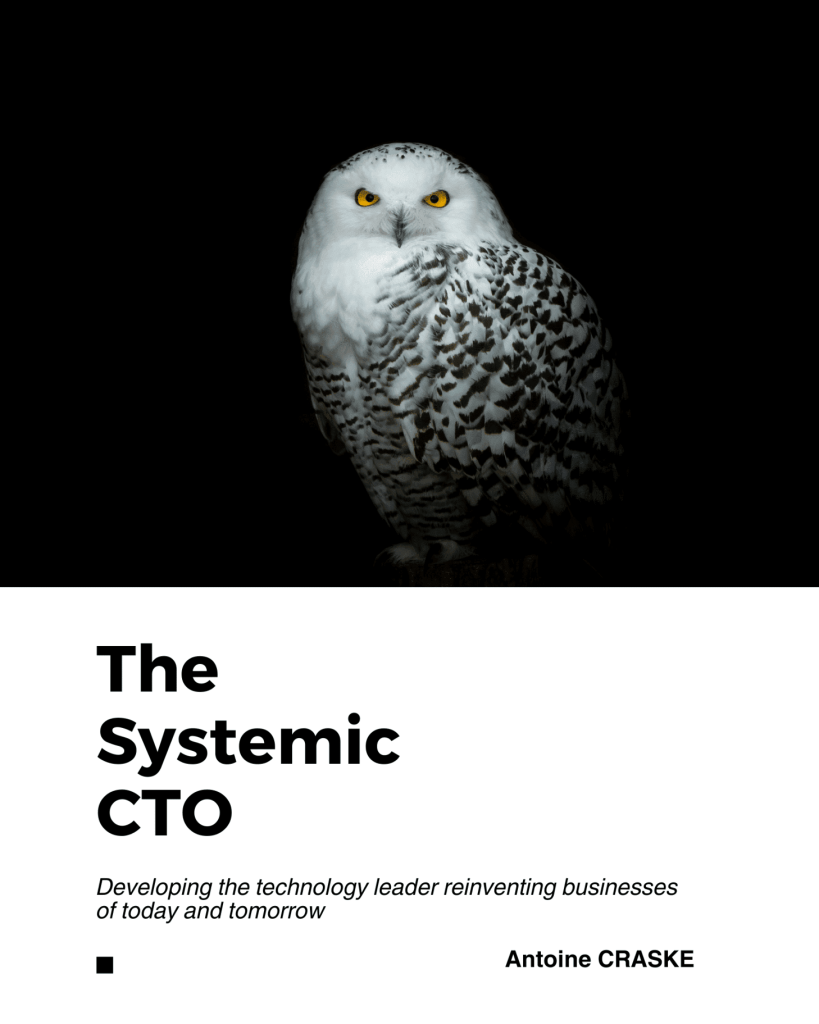 the-systemic-cto-book-cover